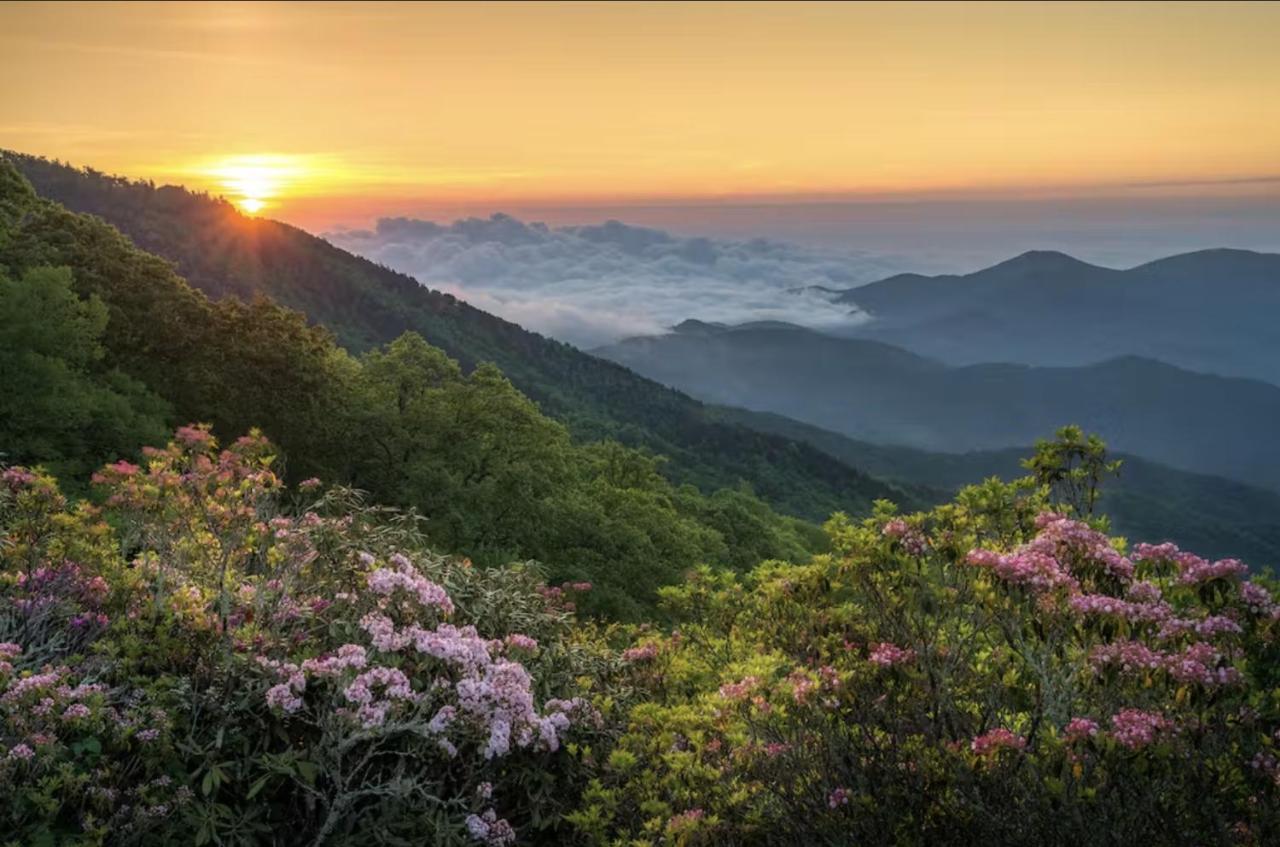 Dogwood Blossom Cottage Эшвилл Экстерьер фото